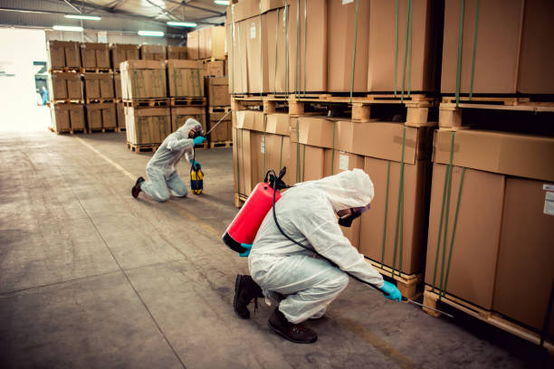 Pest Prevention Services in Kellogg, ID