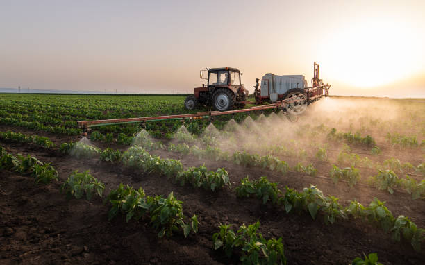 Professional Pest Control in Kellogg, ID