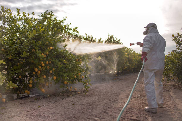 Best Flea Control Services  in Kellogg, ID