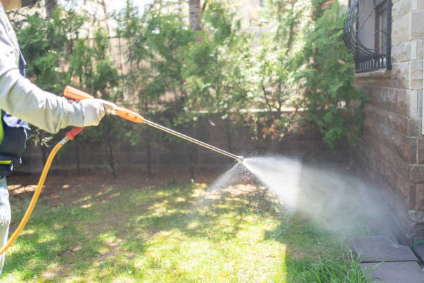 Best Local Pest Control Services  in Kellogg, ID